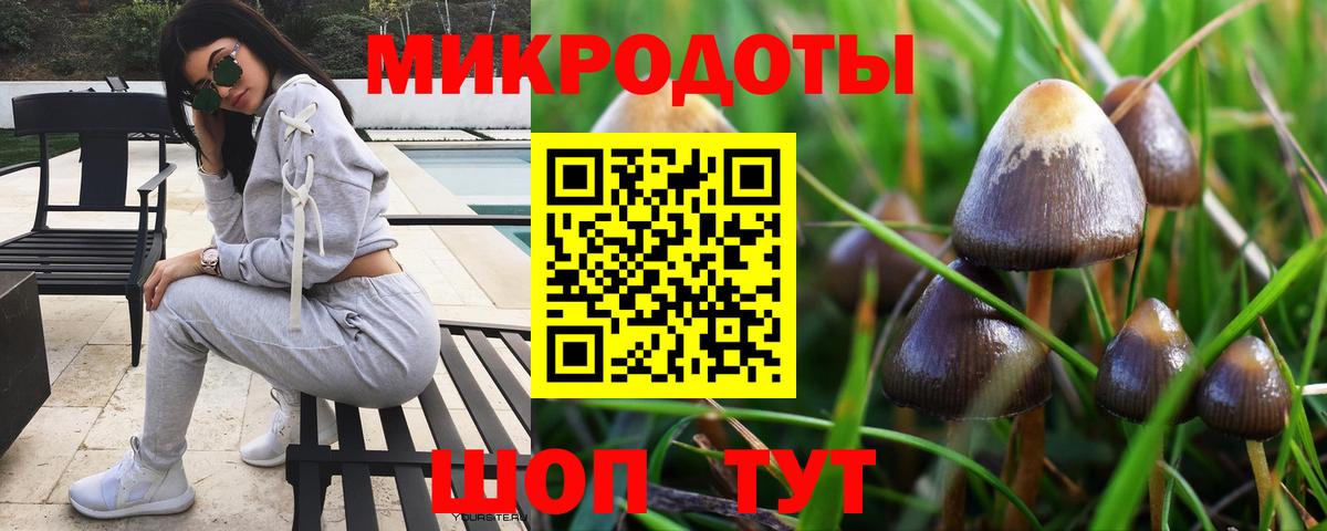 Галлюциногенные грибы Psilocybine cubensis Кемерово