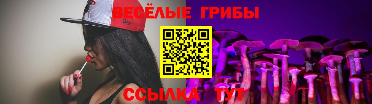 Кемерово  Псилоцибиновые грибы мицелий  Вход с VPN 